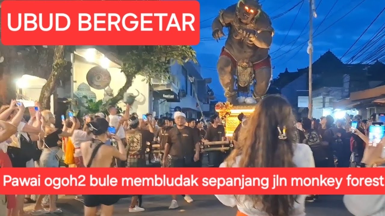 UBUD BERGETAR! Full Bule Berjejer Sepanjang Jln Monkey Forest Mengabadikan Moment Pawai Ogoh Ogoh