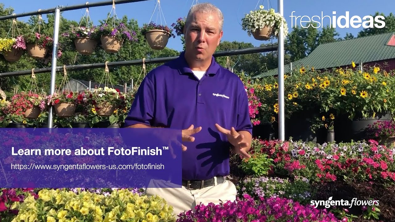 Check Out New Grower-Friendly Varieties from Syngenta!