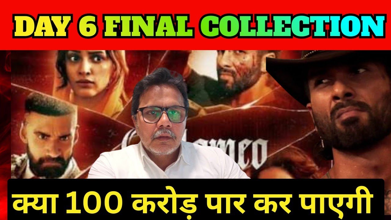 O'Romeo Day 6 Total Box office collection, O'Romeo worldwide collection, Shahid Kapoor #oromeo 