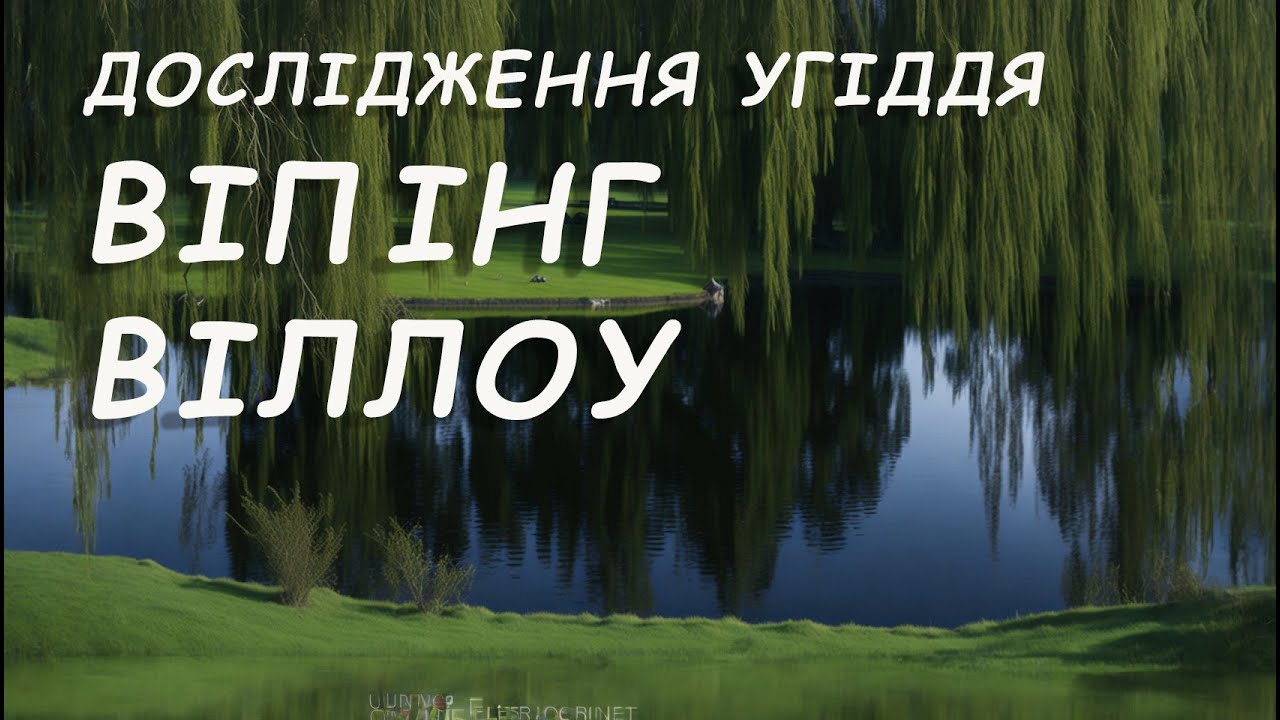 Fishing Planet: МІСІЇ: Дослідження: Угіддя Віпінг Віллоу I, Віпінг Віллоу II, Короп Віпінг Віллоу