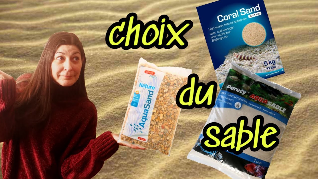 SABLE ou PAS SABLE ? Tout comprendre pour bien CHOISIR