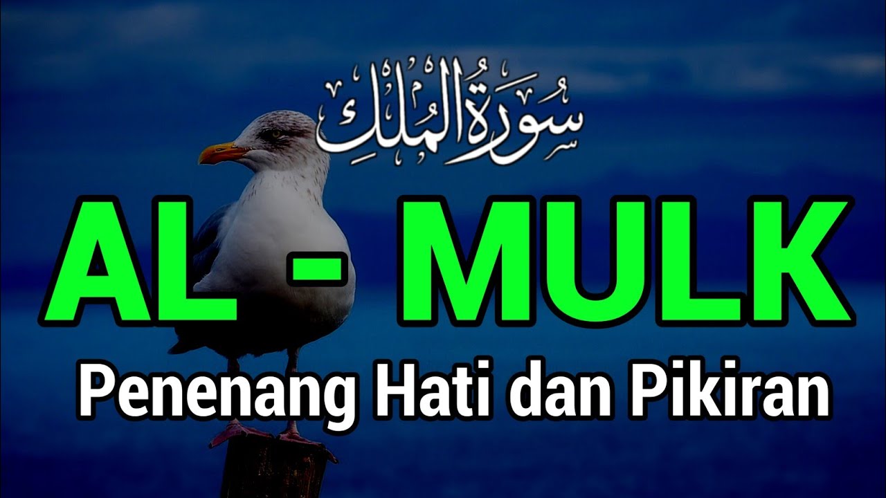 Surah Al Mulk Bikin Hati Tenang, Murottal Merdu Surat Al Mulk Penyejuk Hati Surat Al Mulk Full