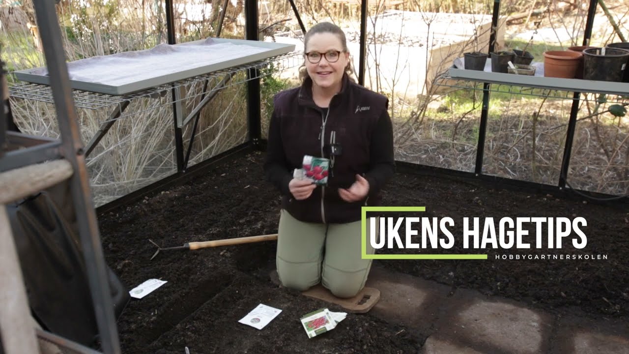 Ukens hagetips, uke 8: Start sesongen med tidligsådde grønnsaker