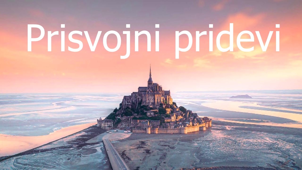 FRANCUSKI JEZIK *Prisvojni pridevi - Les adjectifs possessifs*