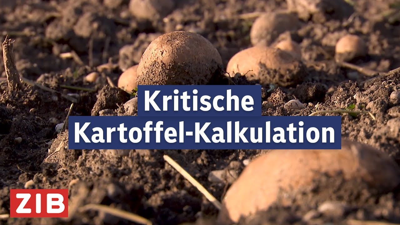Zu viele Erdäpfel im Land | ZIB2 vom 24.11.2025