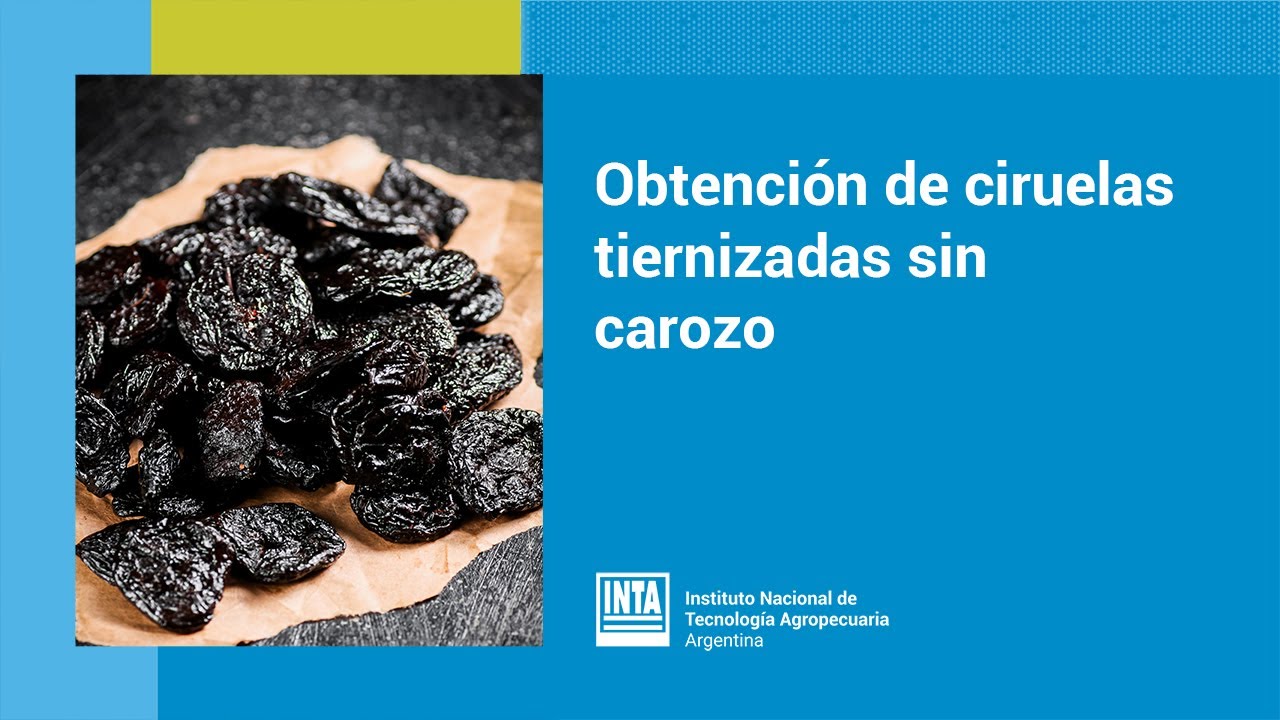 Obtención de ciruelas tiernizadas sin carozo