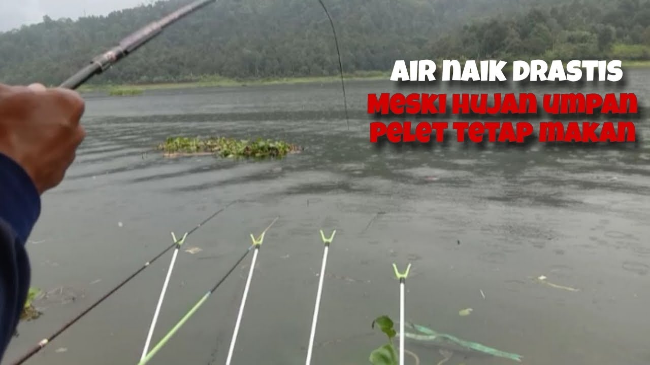 Air naik, sampah mudal // Waduk Selorejo Ngantang