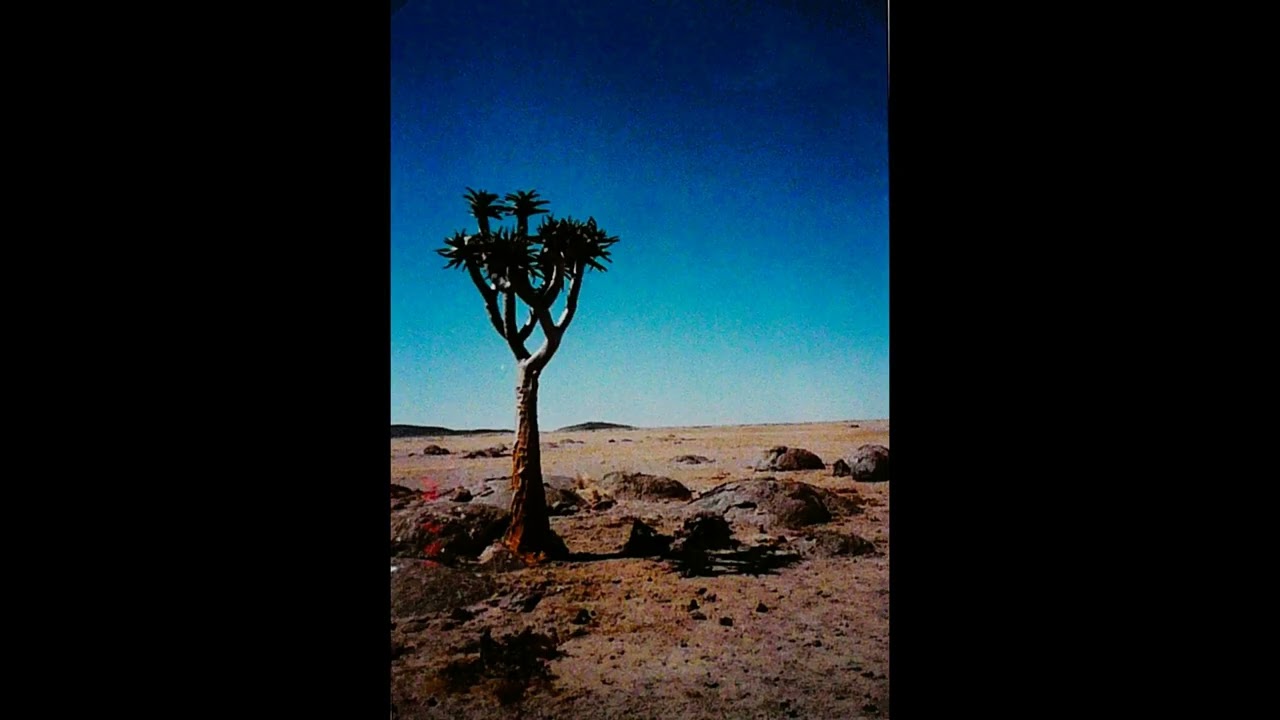 From Walvisbay to Windhoek