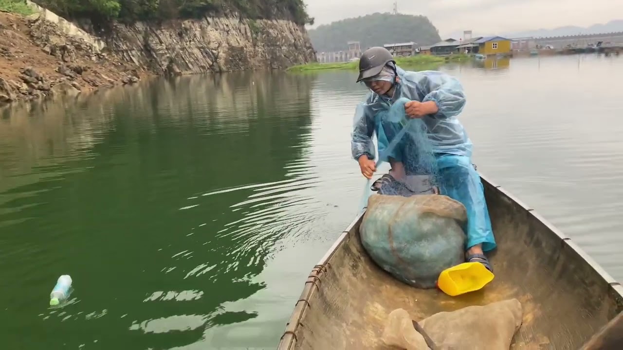 Thả Lưới Trên hồ Hòa Bình Dính Cá ngạnh khủng ￼￼