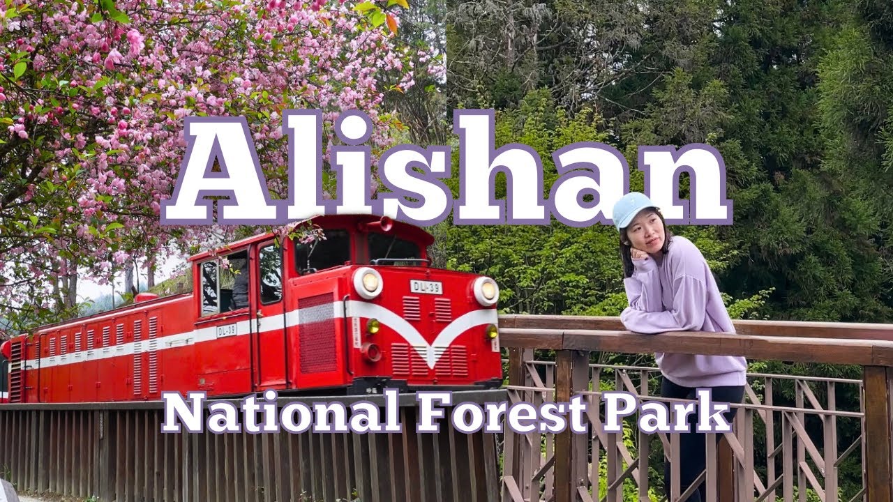 let's explore alishan 🚂  taiwan vlog 2023