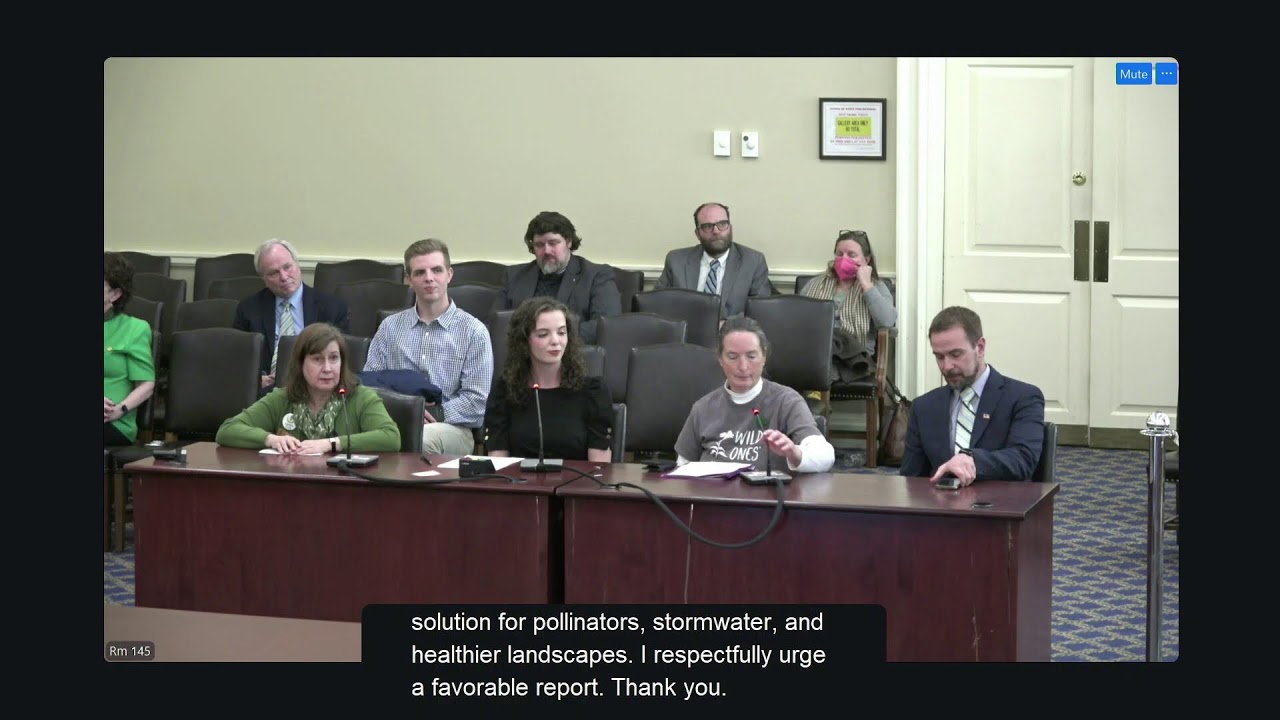 GVC Committee Session, 3/17/2026 #1