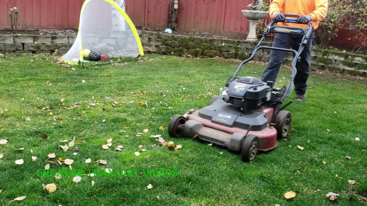 Toro TimeMaster Bagging & Mulching Leaves Tips & Demonstration
