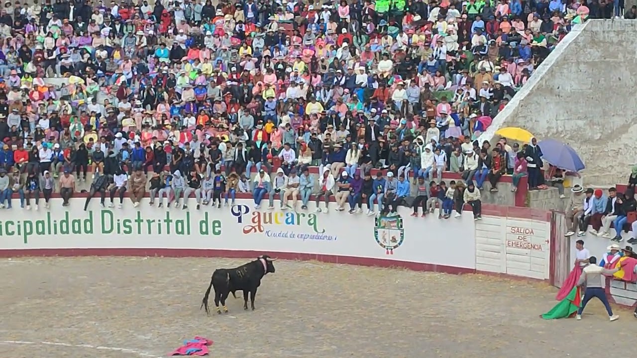 Corrida de toros Paucará Huancavelica 2025 Parte 2