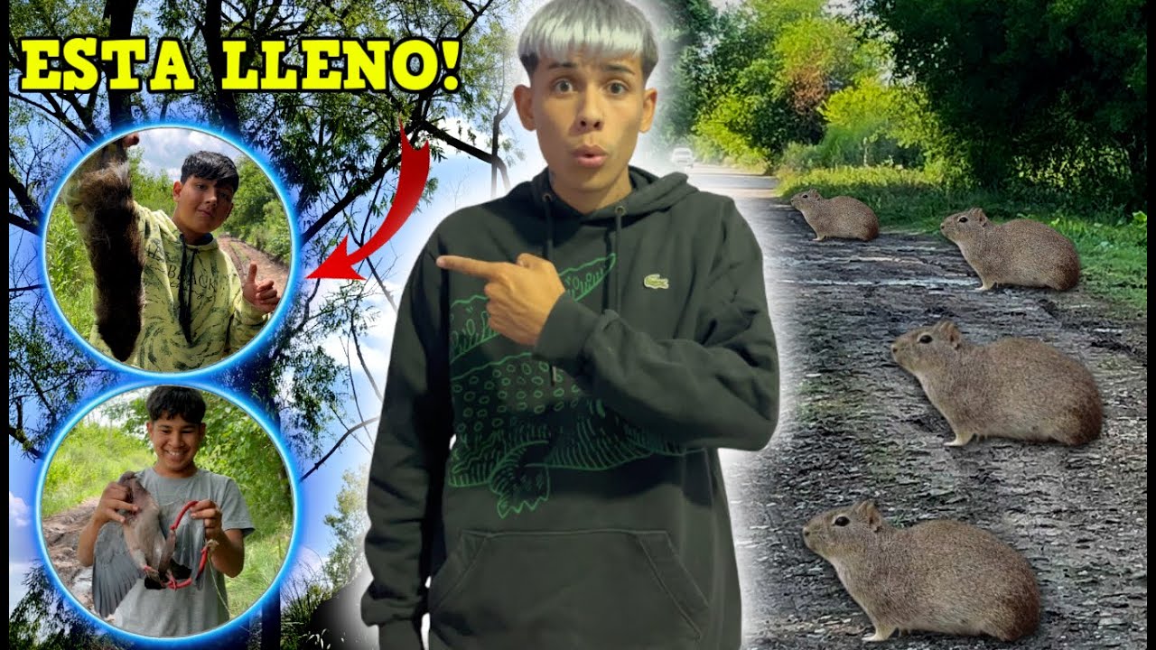 CACERIA DE PALOMAS Y CUISES! CAZANDO LA COMIDA CACERIA Y SUPERVIVENCIA(CAZA Y COCINA) PARTE 2