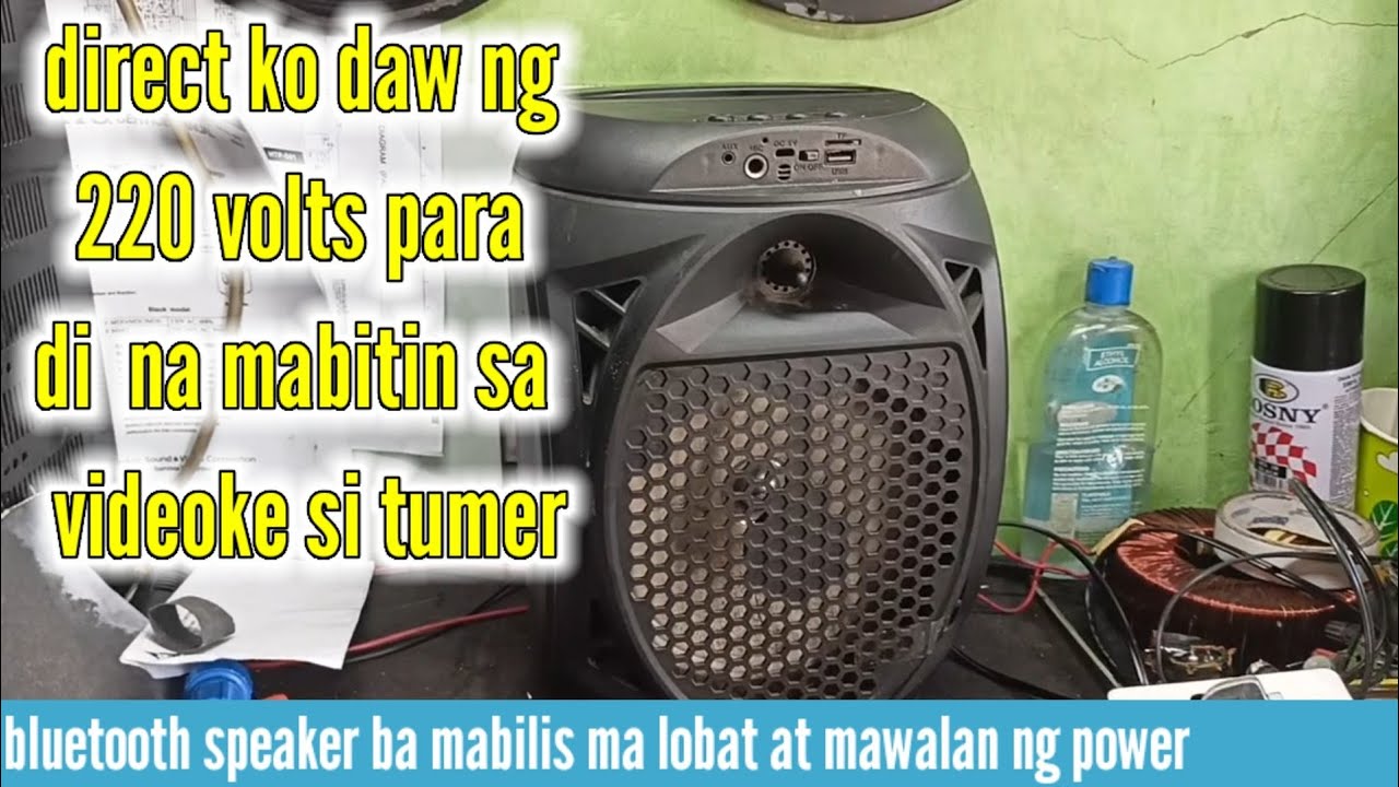 bluetooth speaker gustong ipa direct sa 220 volts ng may ari para di na daw mamatay