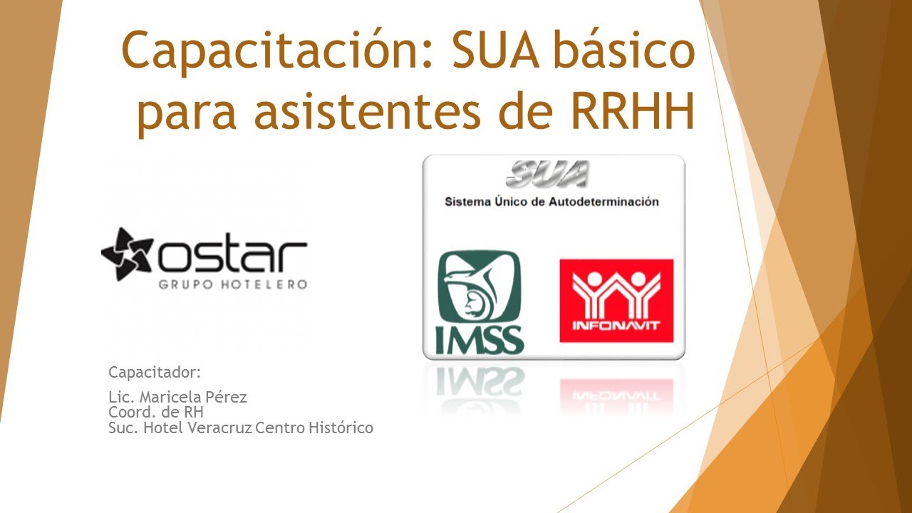 SUA PARA PRINCIPIANTES DE RH. Altas, bajas, modificación de salario e incapacidades.