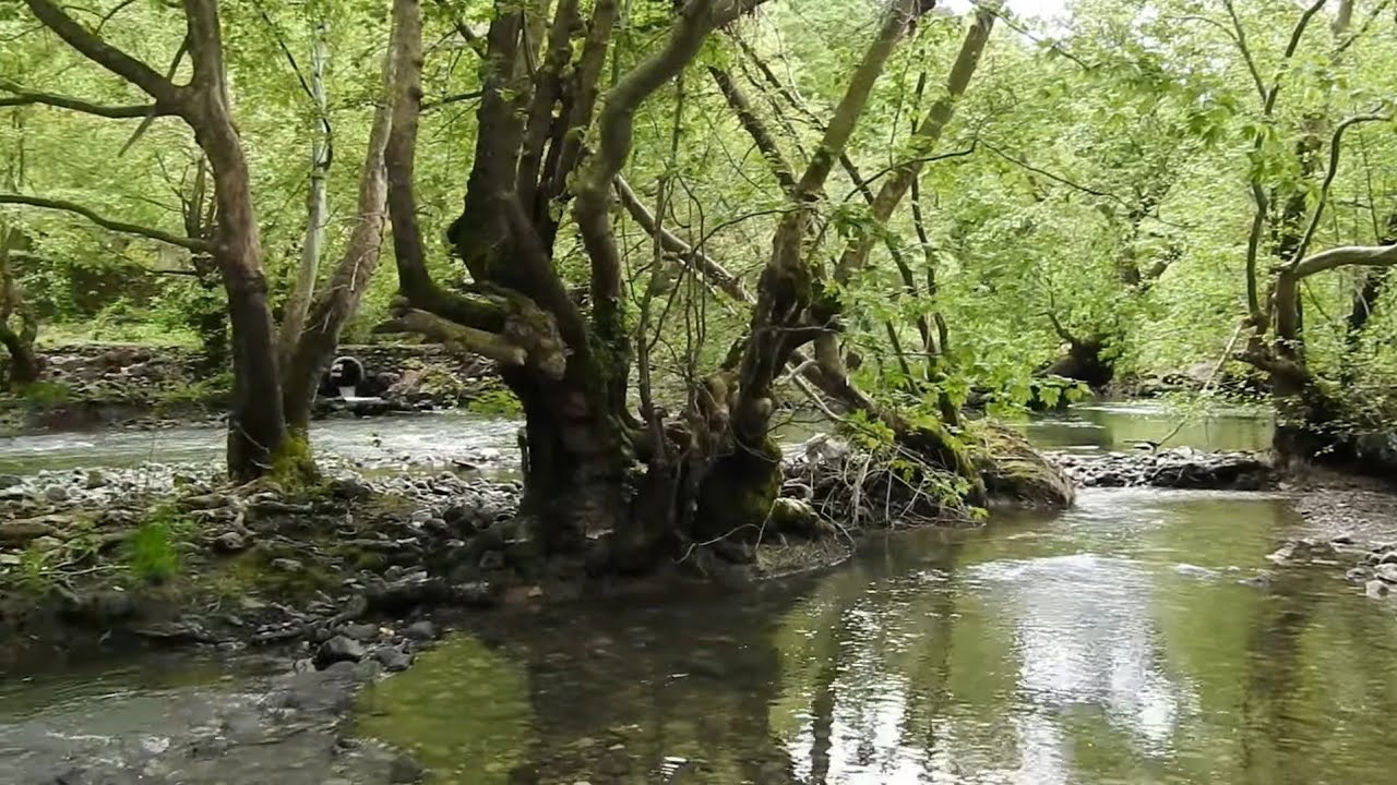 Kaz Dağları Bölgesinde Köy Mücavir alanda Satılık Tarla 4200 m2 1.250.000 TL