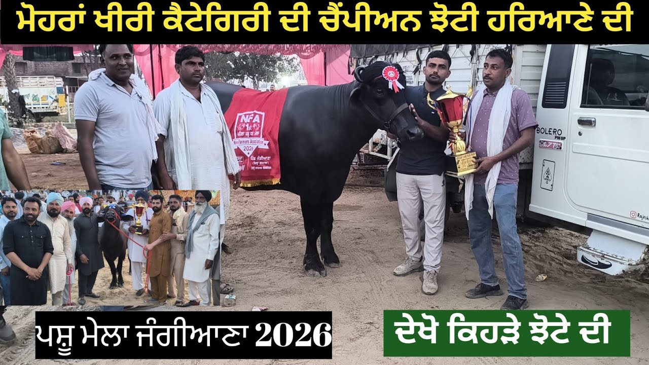 ਮੋਹਰਾਂ ਖੀਰੀ ਕੈਟੇਗਿਰੀ ਦੀ ਚੈਂਪੀਅਨ ਝੋਟੀ ਦੇਖੋ ਕਿਹੜੇ ਬੁੱਲ ਦੀ। ਪਹਿਲਾਂ ਦੂਜਾ ਤੀਜਾ ਸਥਾਨ ਦੇਖੋ।