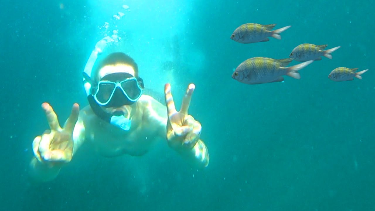Snorkeling At Isla Tortuga, Costa Rica 🇨🇷