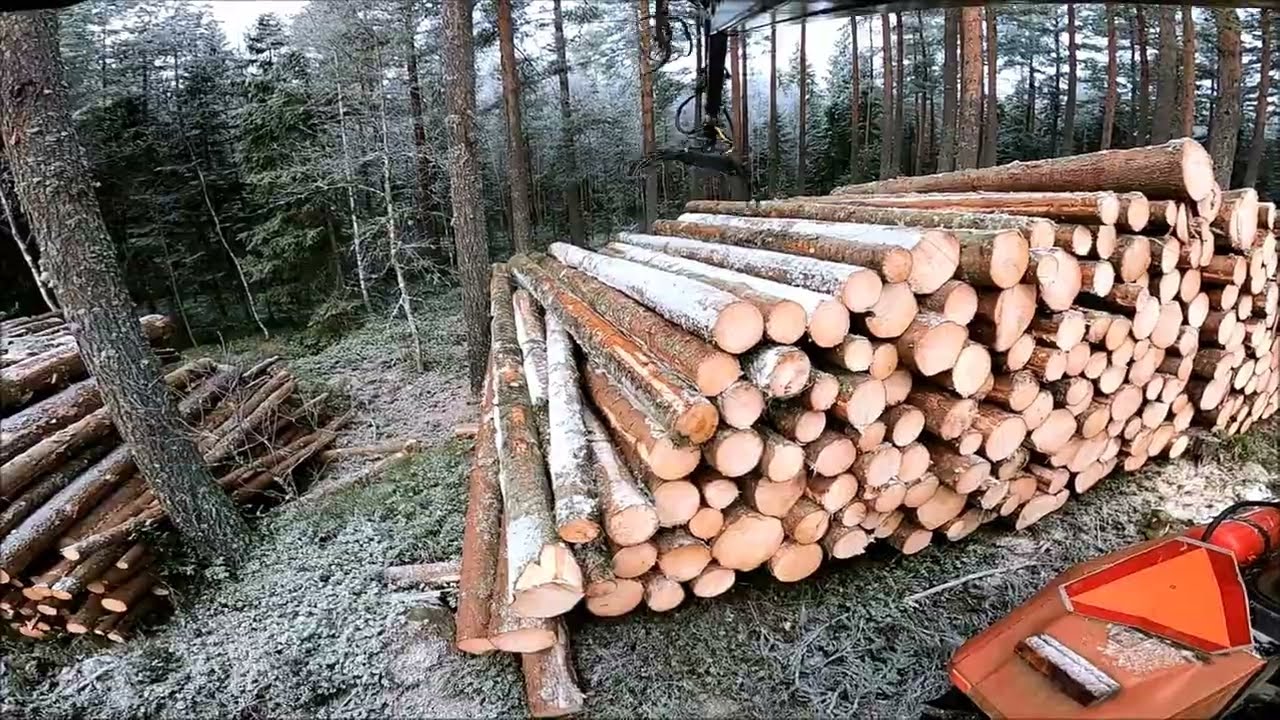 Lastar timmer med palms huggarvagn