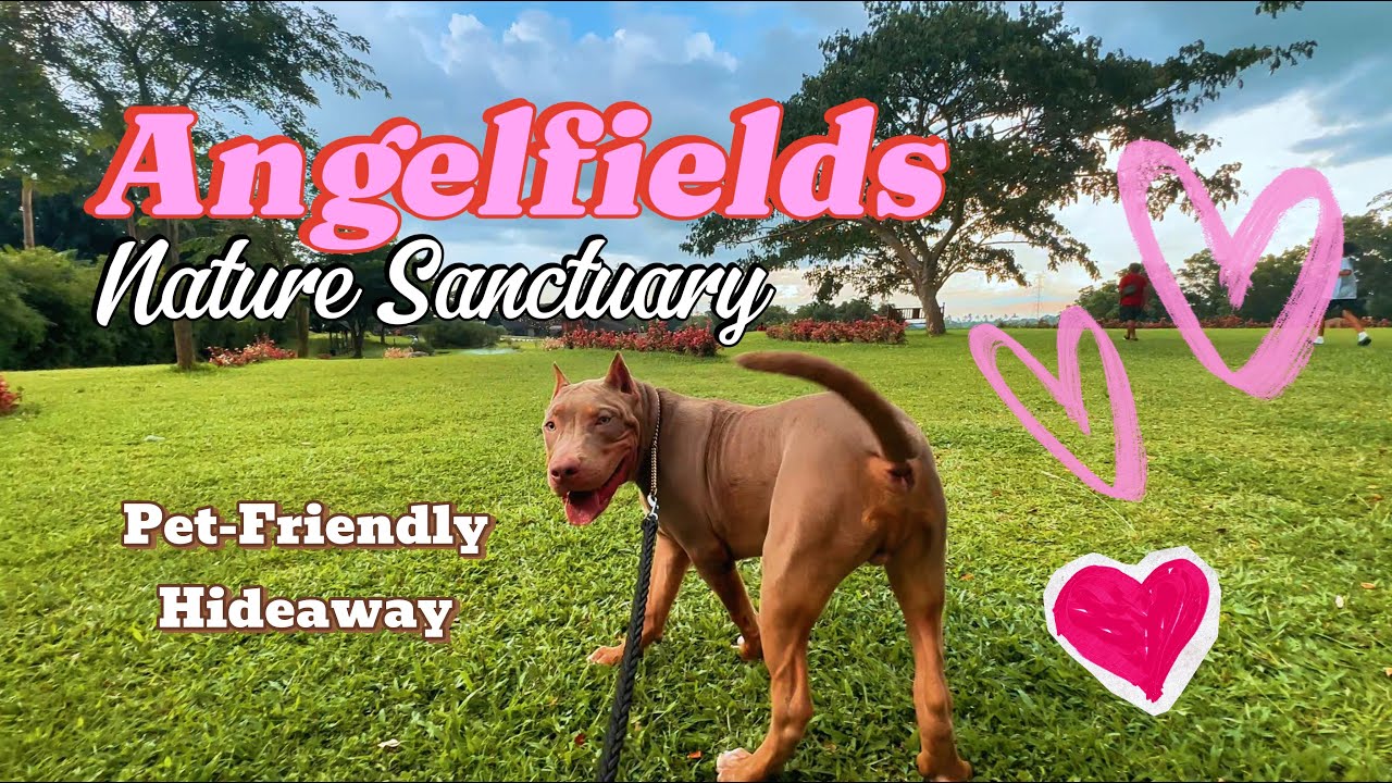 Angelfields Nature Sanctuary Silang Cavite 4K