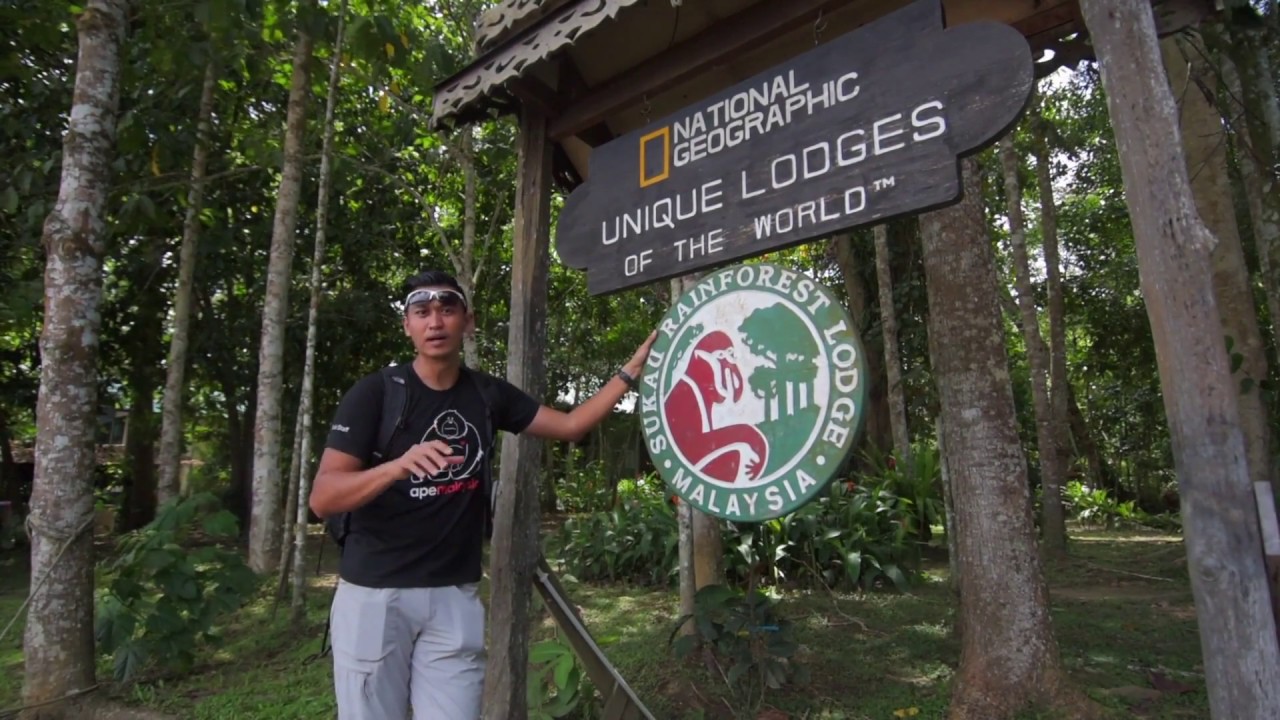 Sukau Rainforest Lodge - National Geographic Unique Lodges of the World