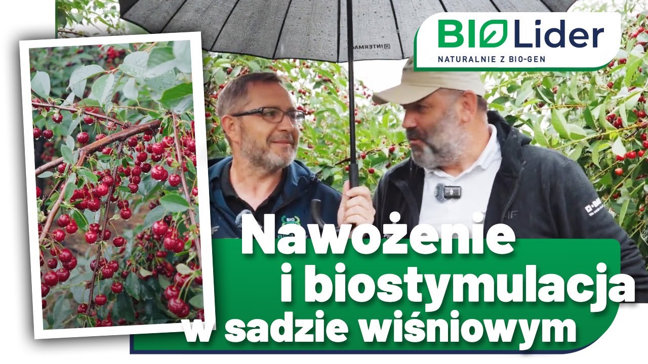 Wiśnie bez strat! Bio-Lider kontra przymrozki + nawożenie i biostymulacja