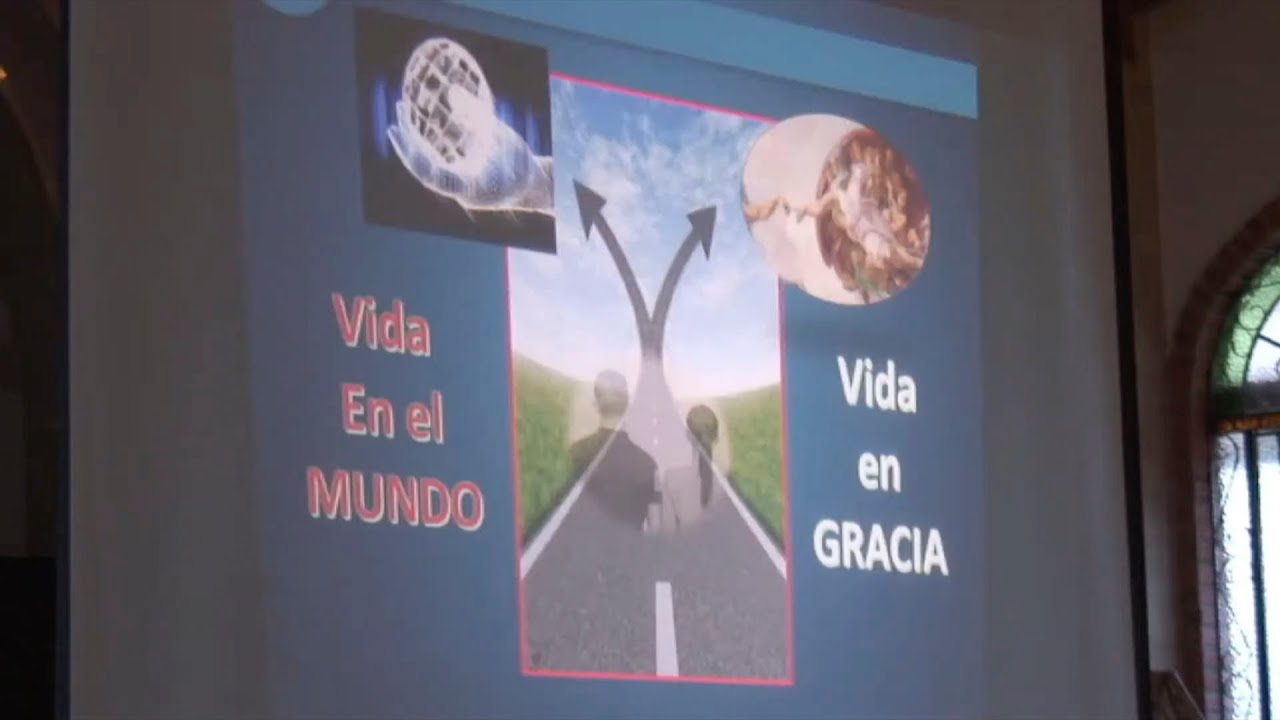 Dr. Ricardo Castañón - Mundo actual y vida en gracia