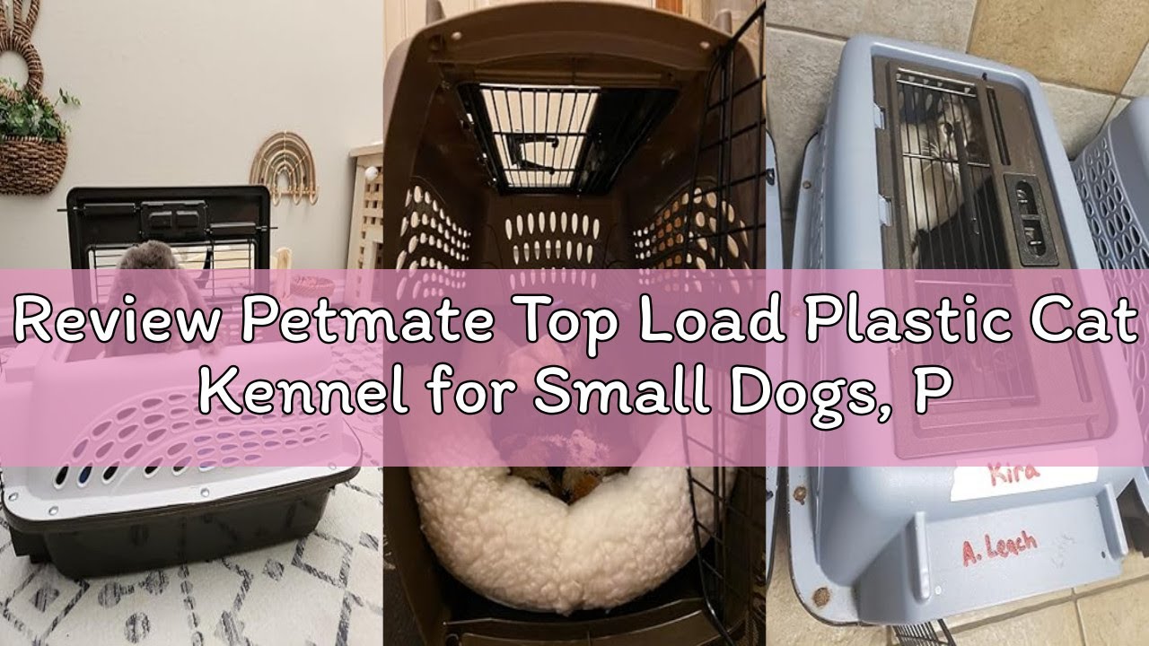 Review Petmate Top Load Plastic Cat Kennel for Small Dogs, Puppies & Cat Carriers, One-Door, Top Loa