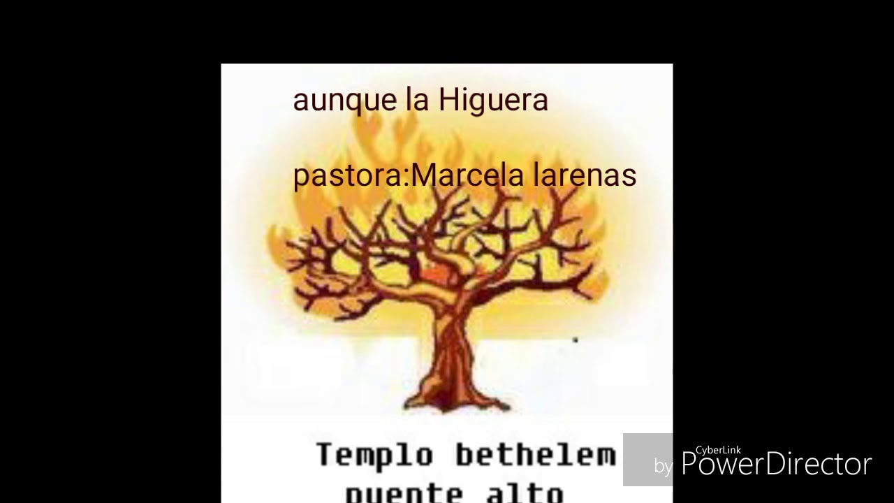 Aunque la higuera no floresca