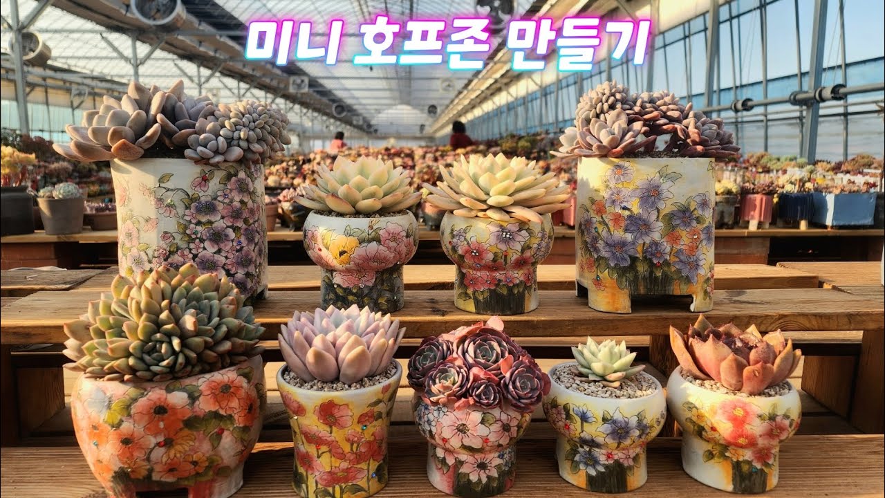 26.02.28 2월달 잘가✌️~호프공방분 분갈이/ 모래요정 다육식물 (多肉植物) (たにくしょくぶつ) Korean Succulent