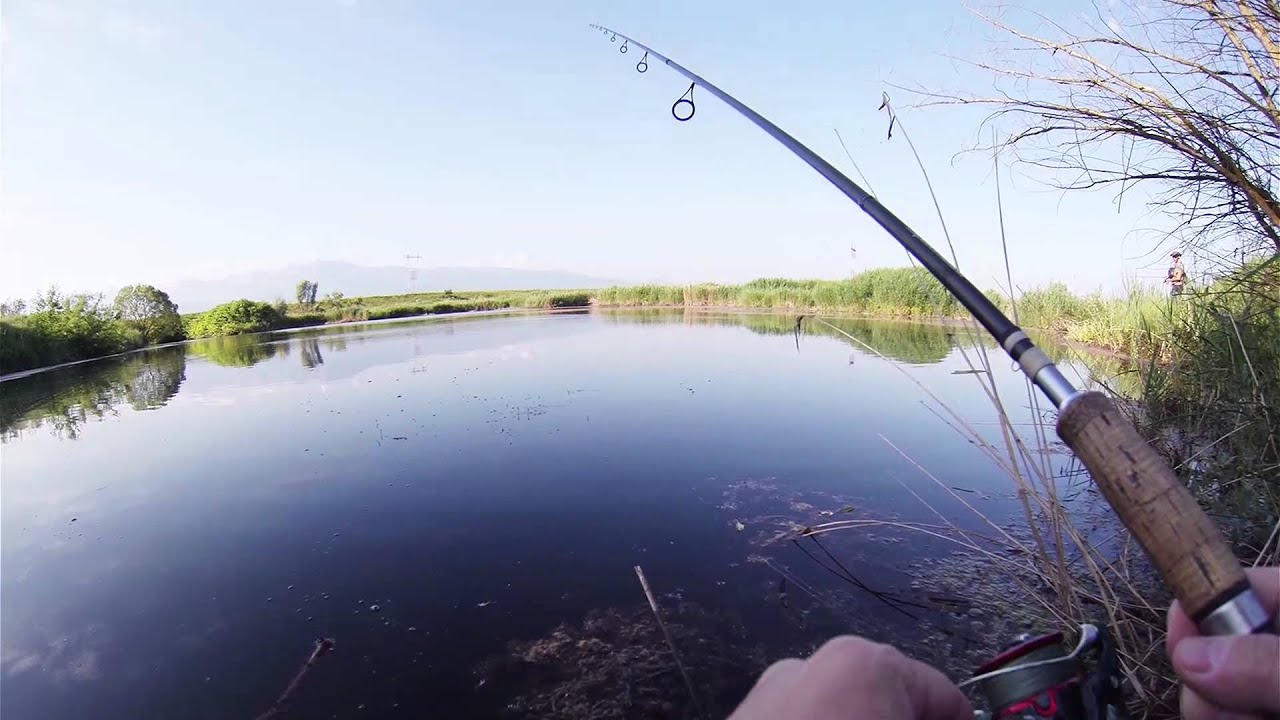 Partida spinning - balta balastiera Avrig