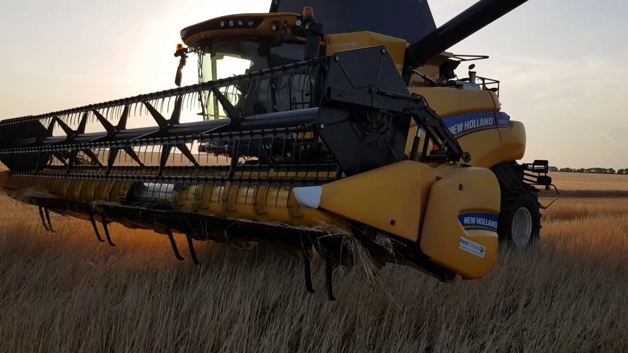 Выращивание озимого ячменя . No-till 16.06.2018. Уборка и её итоги.