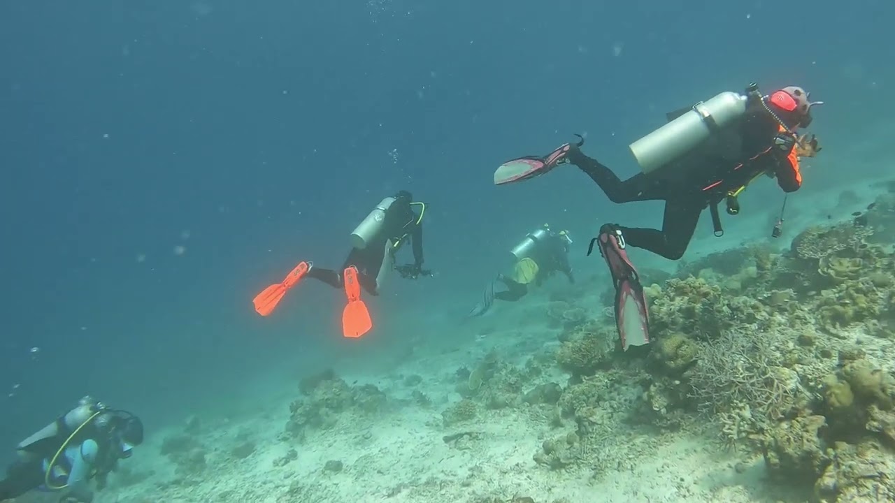 Dive Safari Day 3 - Bohey Dulang, Mantabuan, Sibuan
