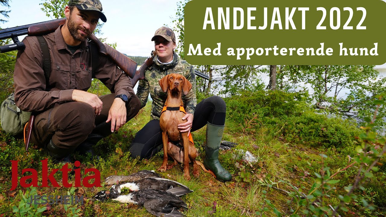Andejakt med apporterende hund 2022