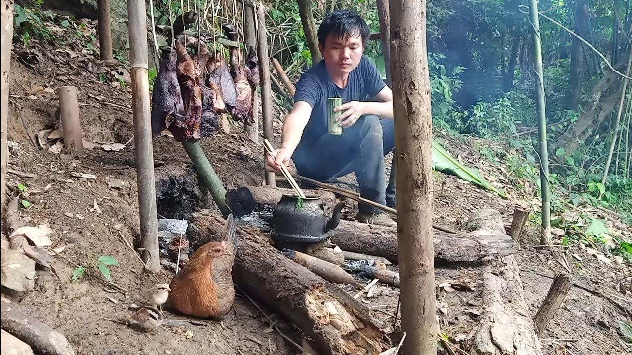 The First Wild Chickens Were Born, Preserving Wild Meat, Survival Instinct, Wilderness Alone, ep65