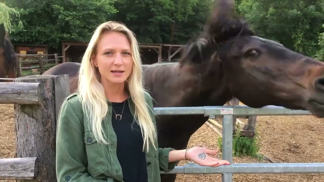Ausbildung: Inklusive Tiergest&uuml;tzte P&auml;dagogik - Schwerpunkt Pferd