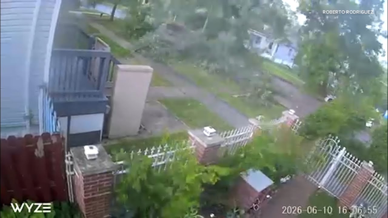 WATCH: Tree topples over in South Deering, Chicago - Wednesday, June 10, 2026