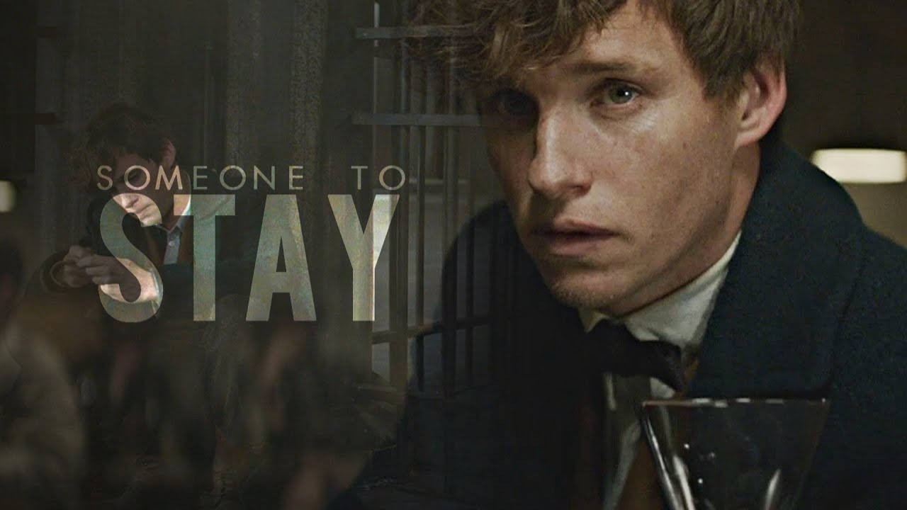 Newt Scamander || Someone to Stay