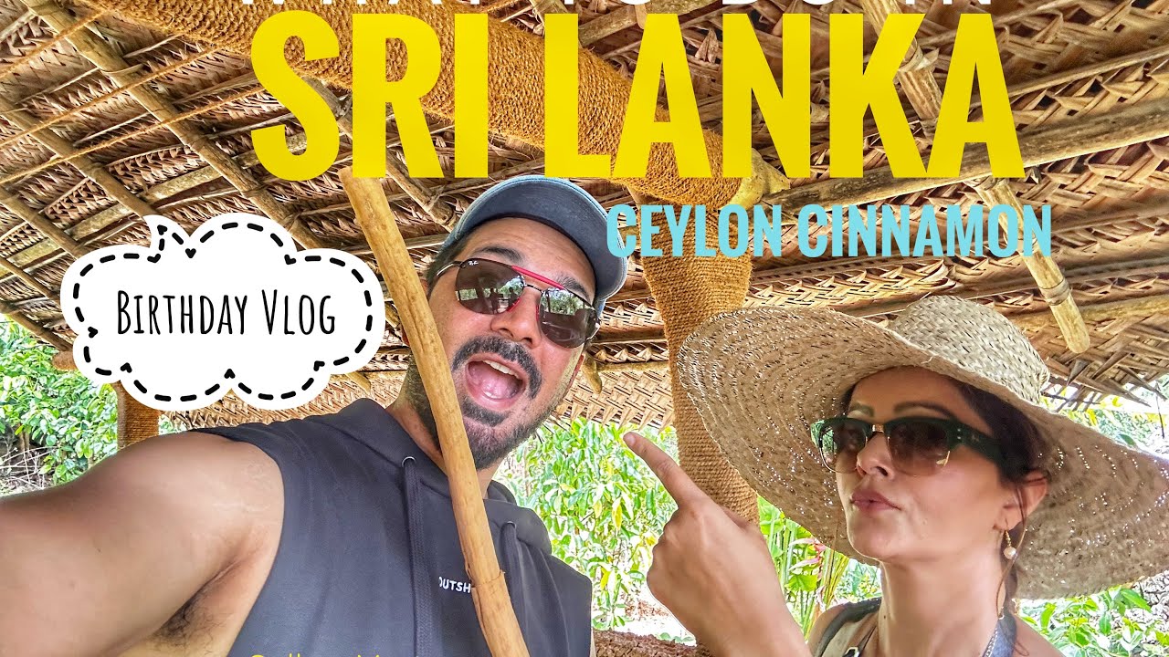 Rubina's Birthday in Sri Lanka | What to do in Sri Lanka | Cinnamon Plantations | #rubinadilaik