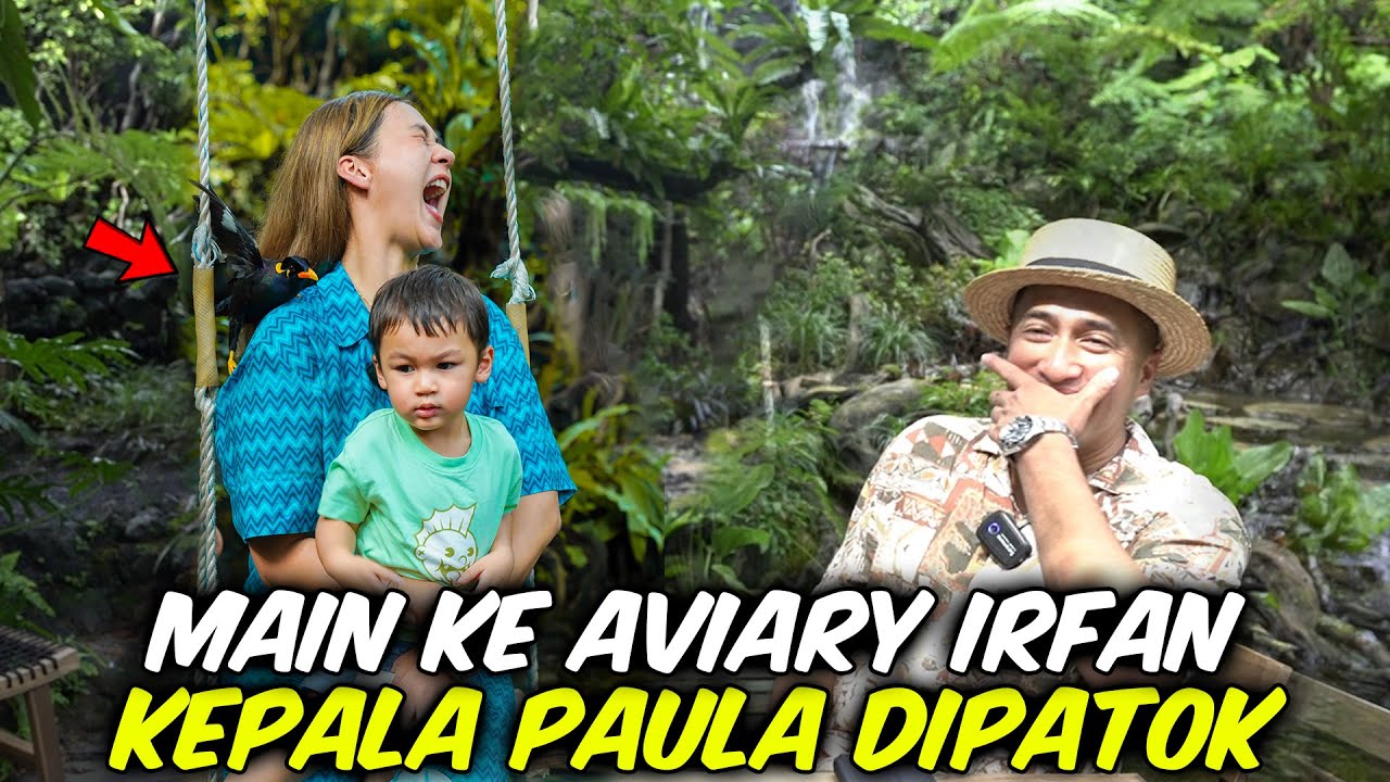 MAIN KE AVIARY IRFAN HAKIM , MAMAH PAU DIPATOK BURUNG .. ‼️