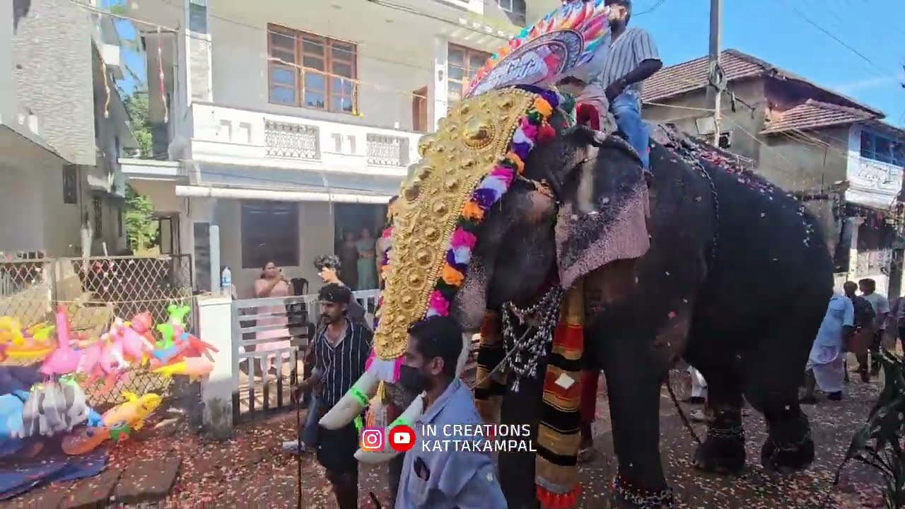 ബാങ്ക് അവെന്യൂ | കൊട്ടിക്കയറ്റം | Pazhanji Palli Perunnal 2025 | Bank Avenue