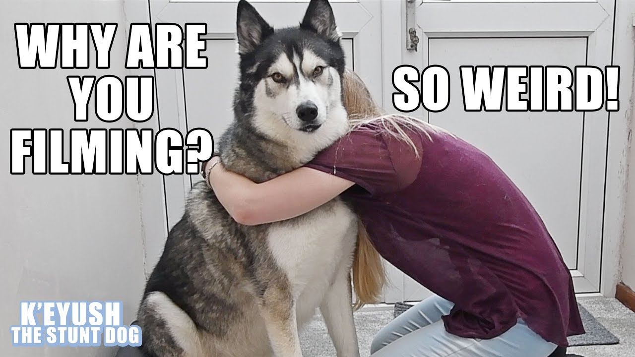 Hugging My Dog For Too Long GONE WRONG! He Argues!