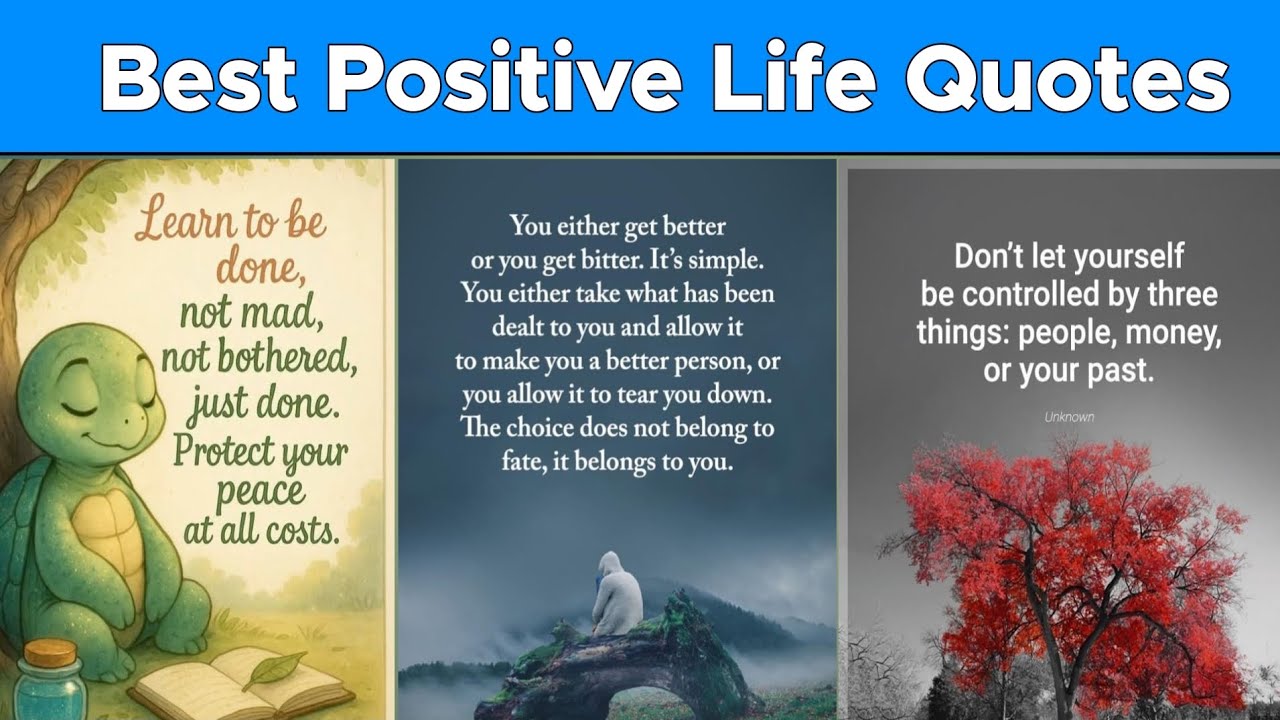 Positive Quotes About Life || Motivational Daily Life Quotes Of Wisdom || English Quote