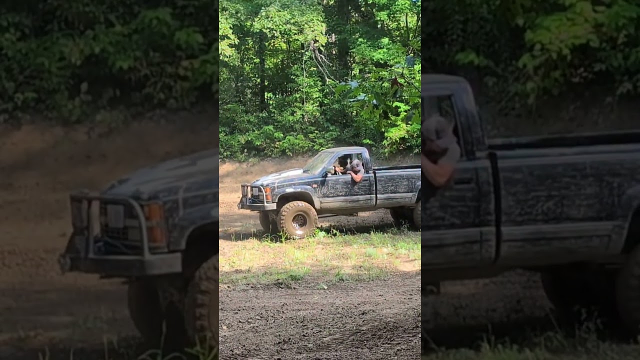Lifted long bed chevy pickup