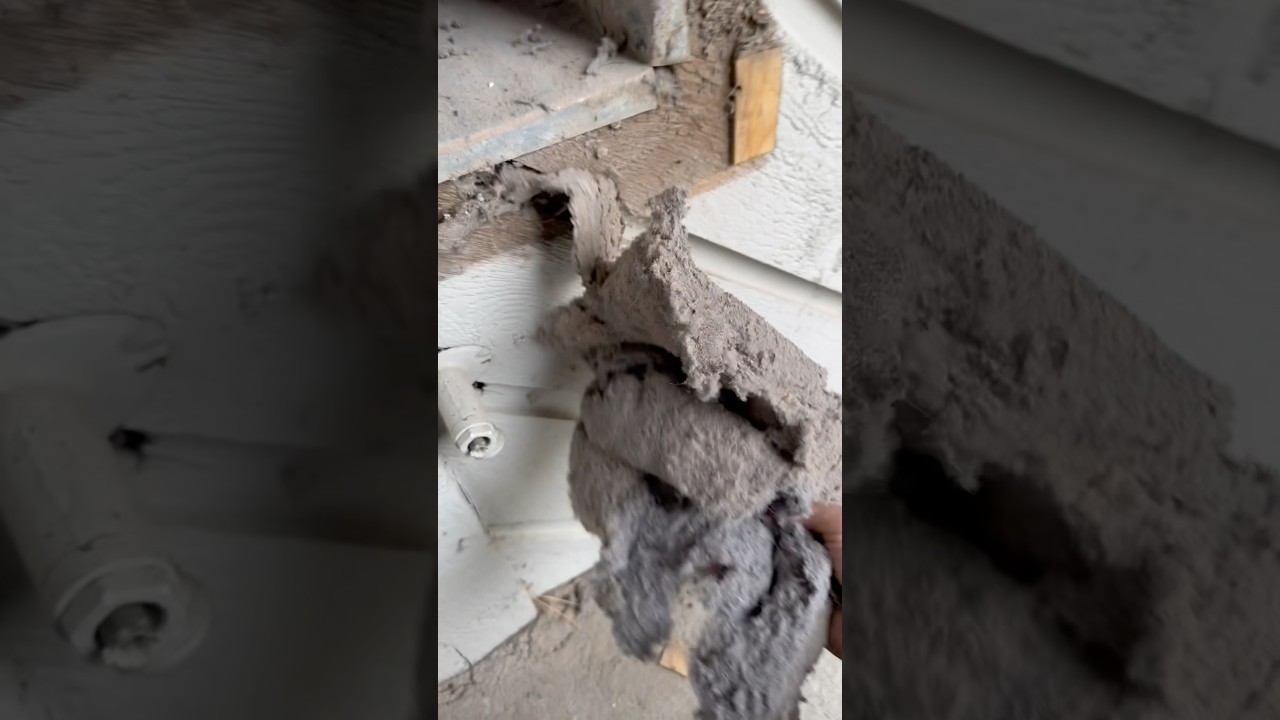 Commercial Dryer Duct Cleaning- 30 years of Lint 🔥🤩 #asmr