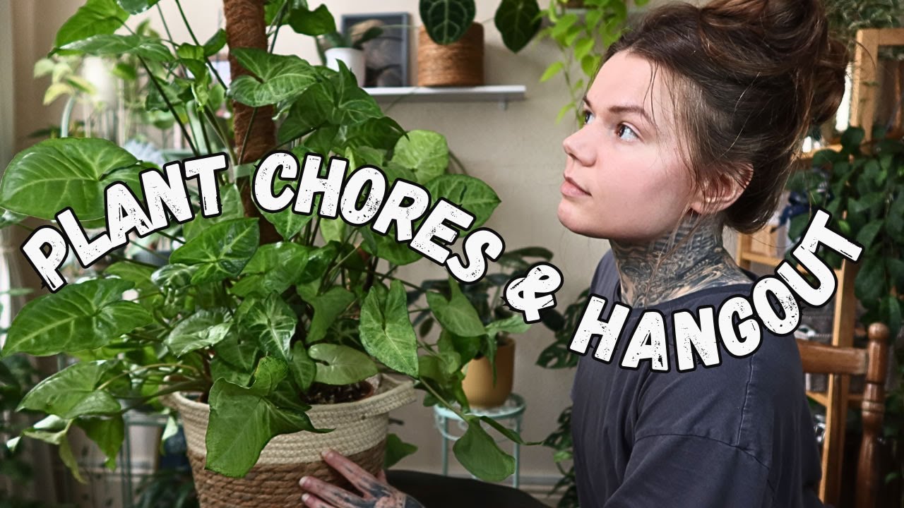 PLANT CHORES | Tidying Up My Messy Syngonium