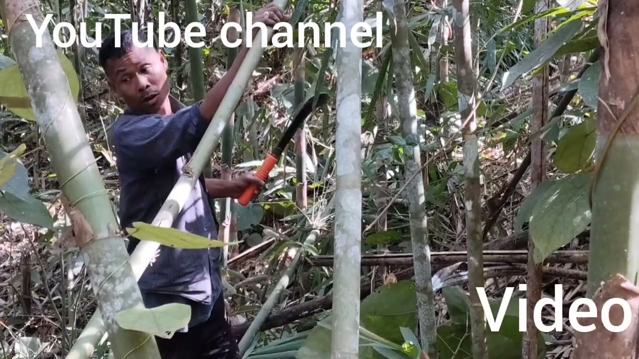 Mau sat leh mutbang video Buloia yt official channel Vanthaikawr veng TLabung 