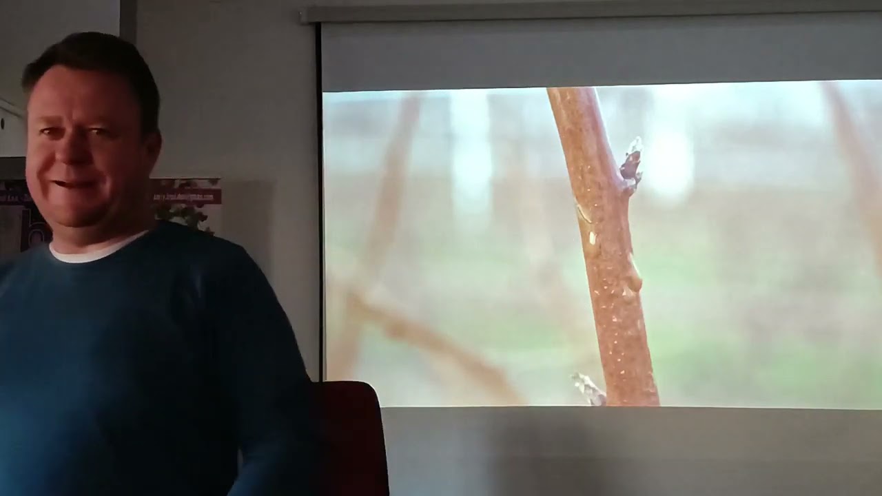 Adnan Maličević, edukacija malina,,