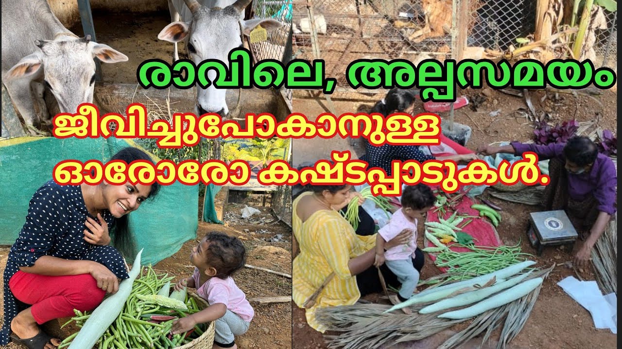 രാവിലെ ഞങ്ങൾ ഇങ്ങനൊക്കെയാ ❤️❤️